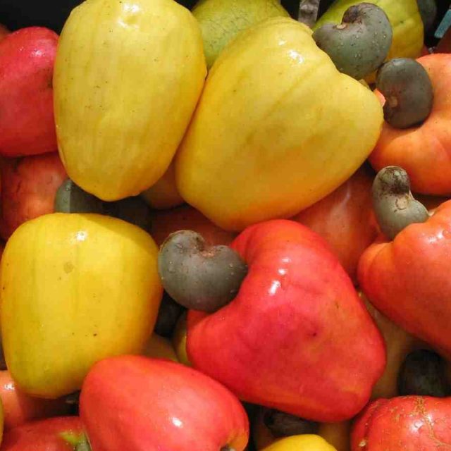 Cashew